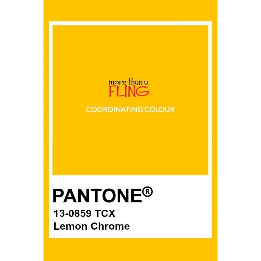 Adult's Puffins - Lemon Chrome Short Sleeve A-Line Dress