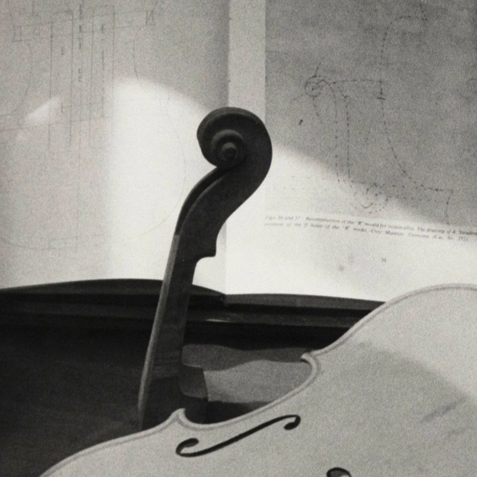 ANDRE KERTESZ "VIOLIN SHOP", 1984