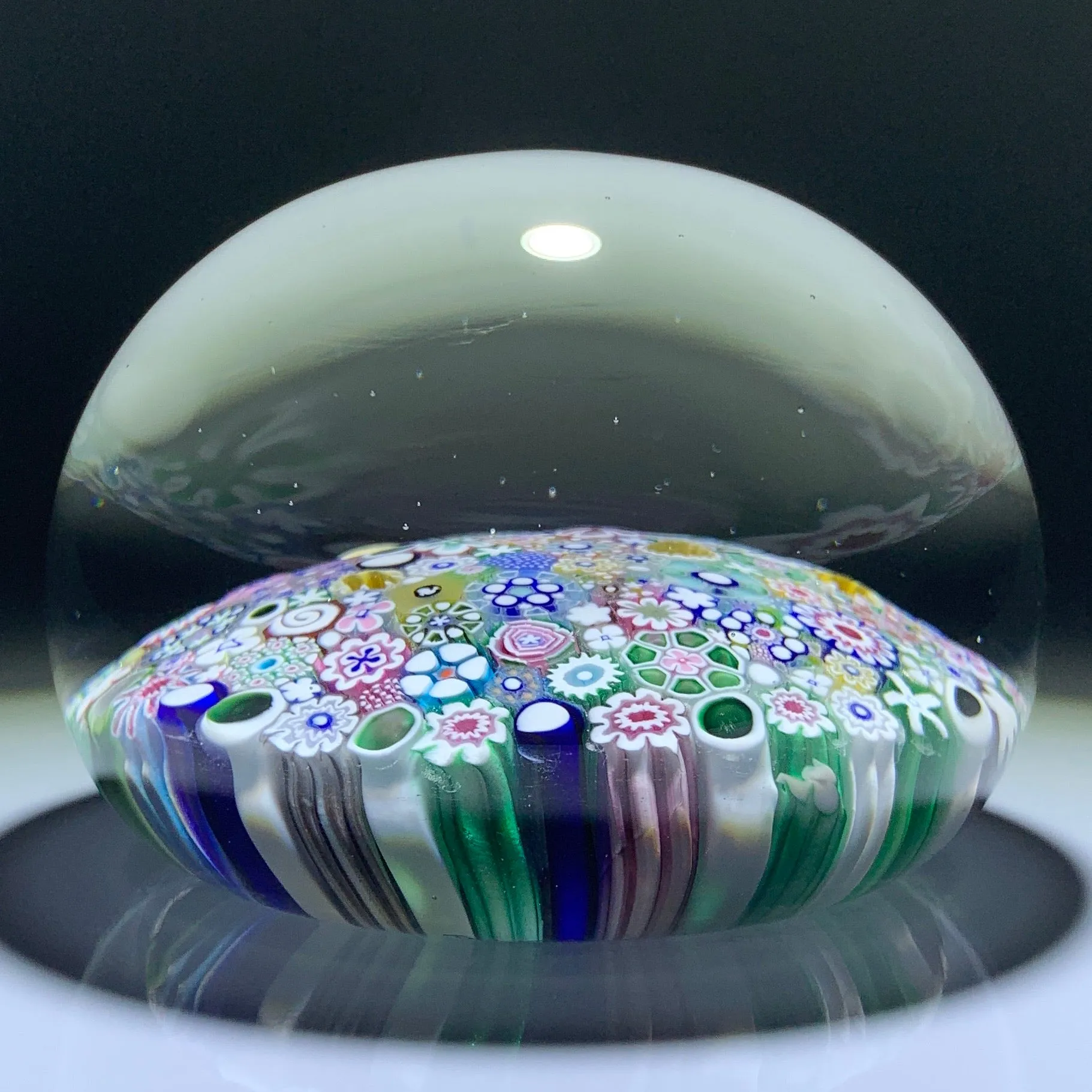 Damon MacNaught 2020 Complex Closepack Millefiori Including including a “Hidden Silhouette” & Rose Canes