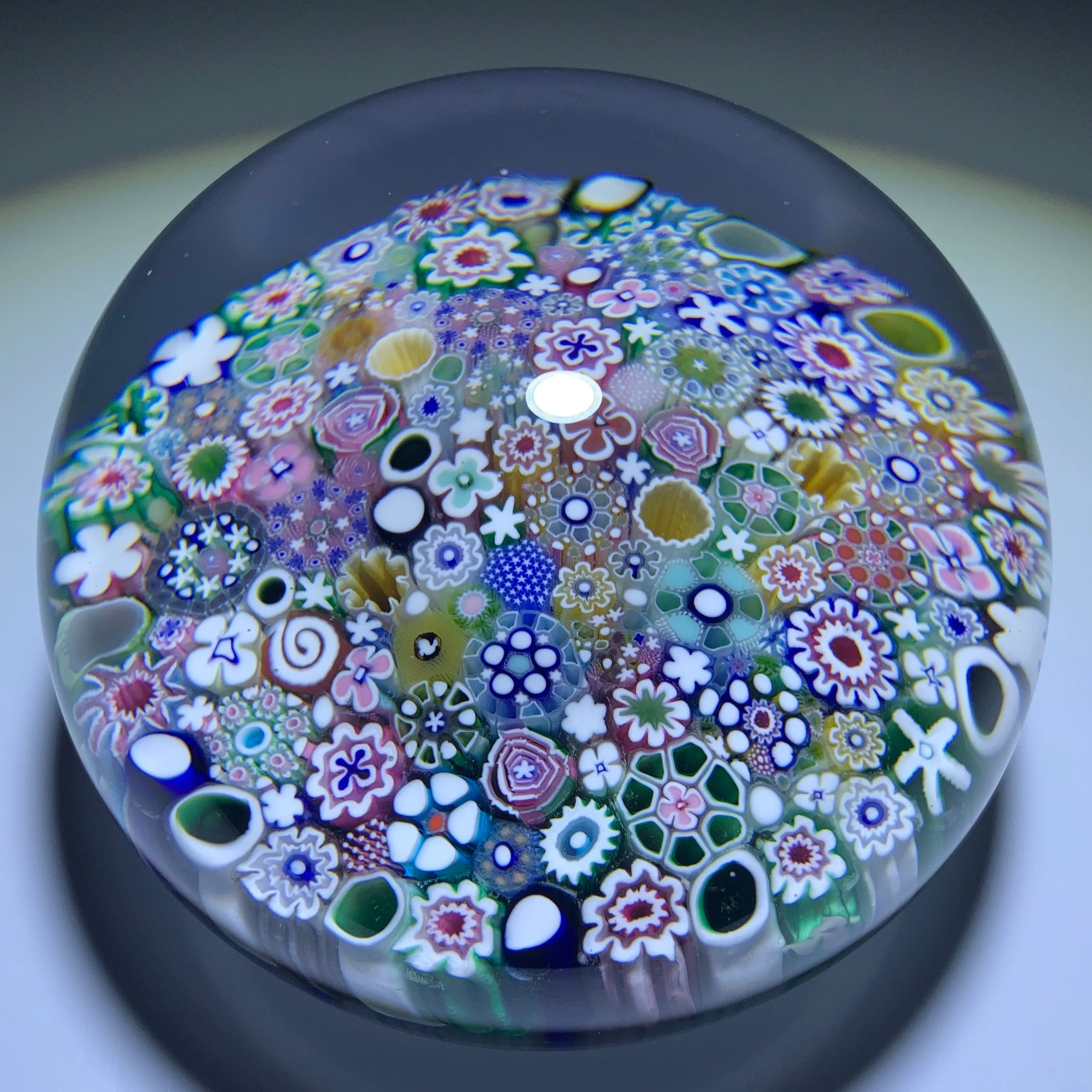 Damon MacNaught 2020 Complex Closepack Millefiori Including including a “Hidden Silhouette” & Rose Canes
