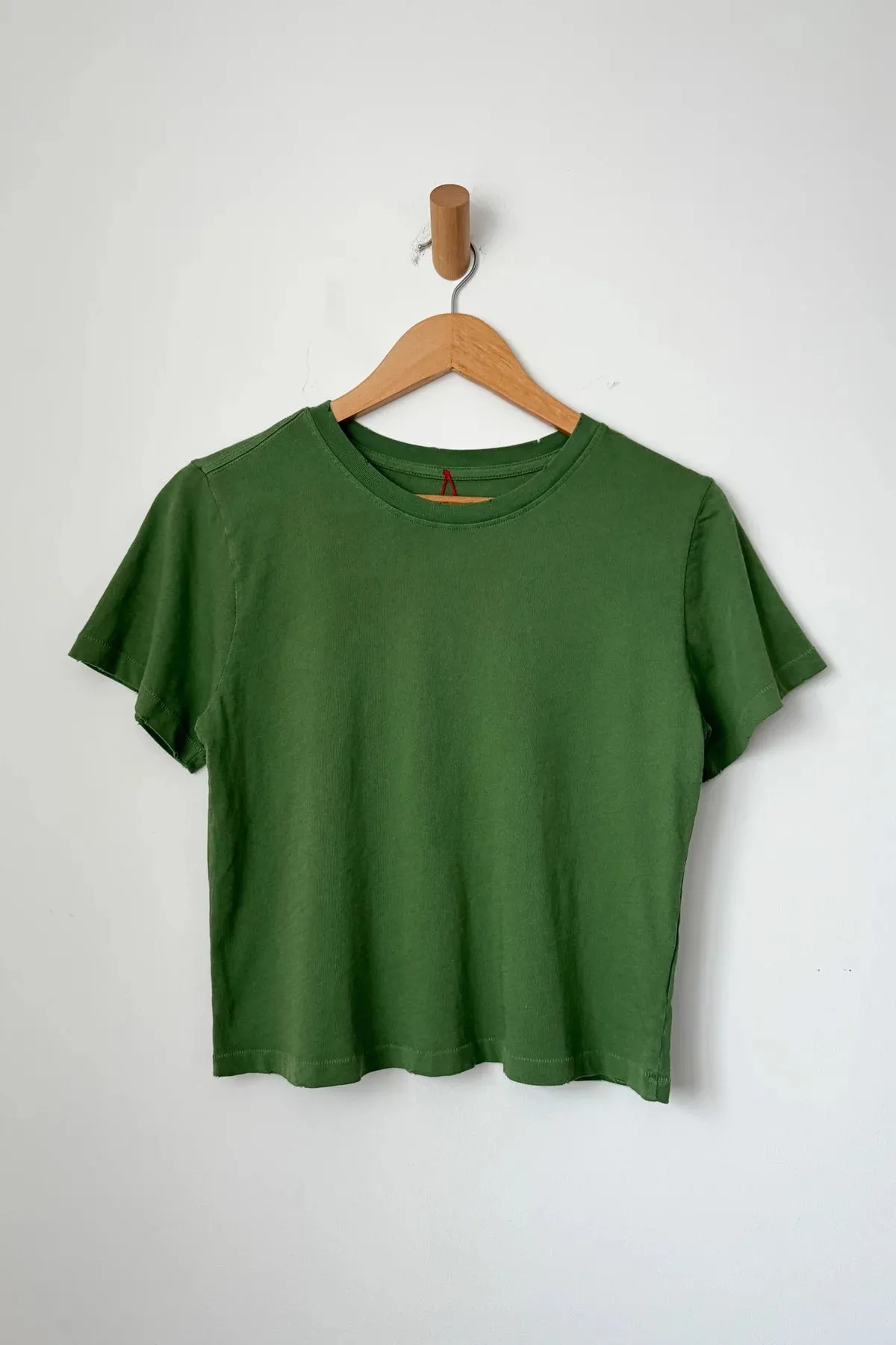 Darling Tee -  Monstera