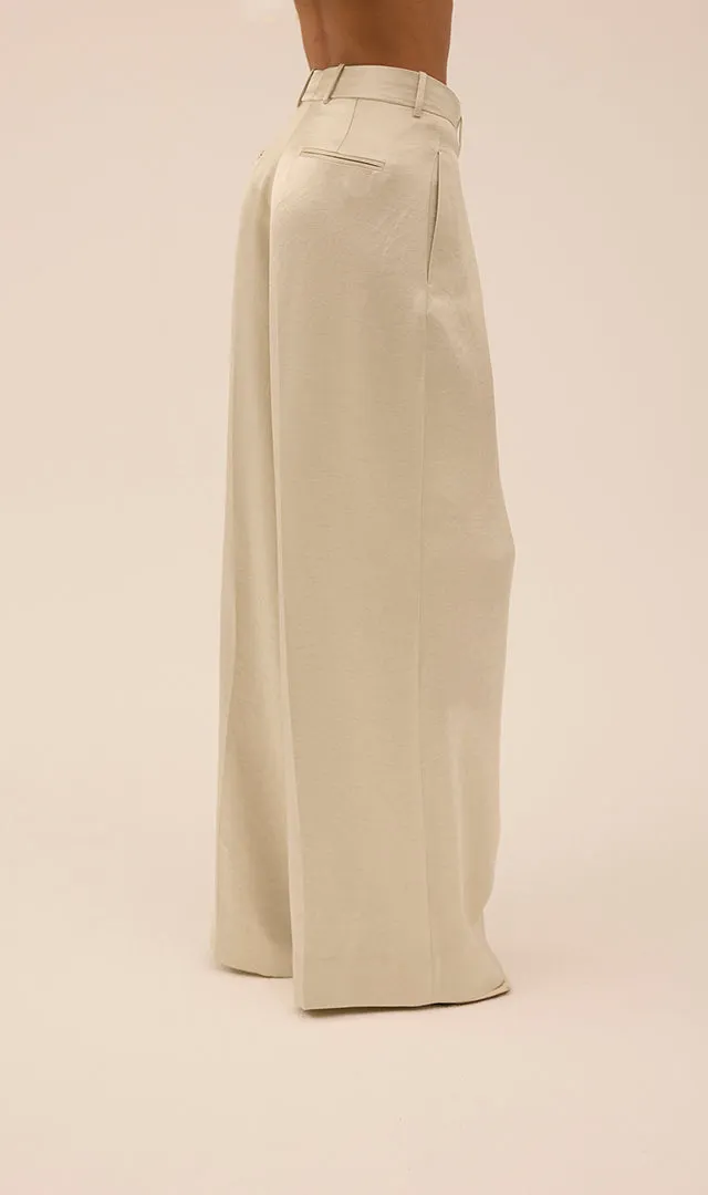 Double Pleat Wide Leg Trouser in Silver