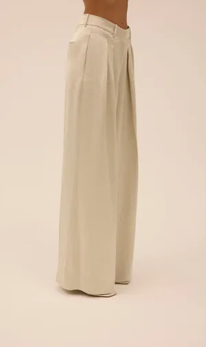 Double Pleat Wide Leg Trouser in Silver