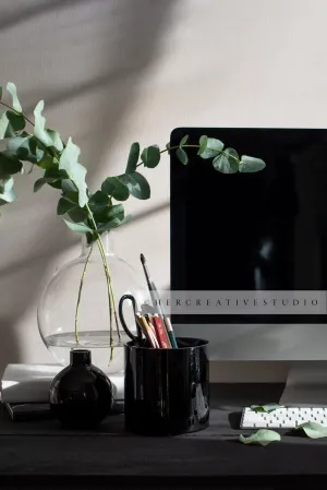 Eucalyptus & Pencil Holder on Black Desk