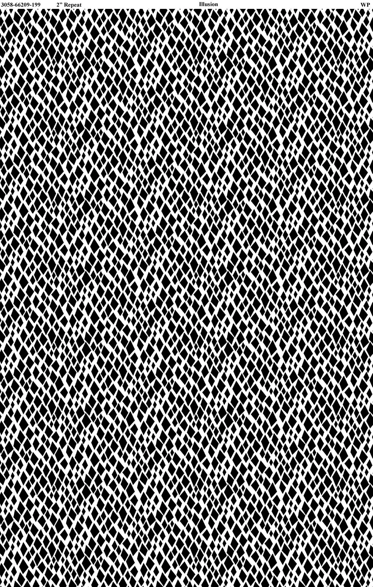 Illusion Black and White - (4)