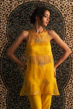 Marigold Embroidered A-line  Co-ord Set