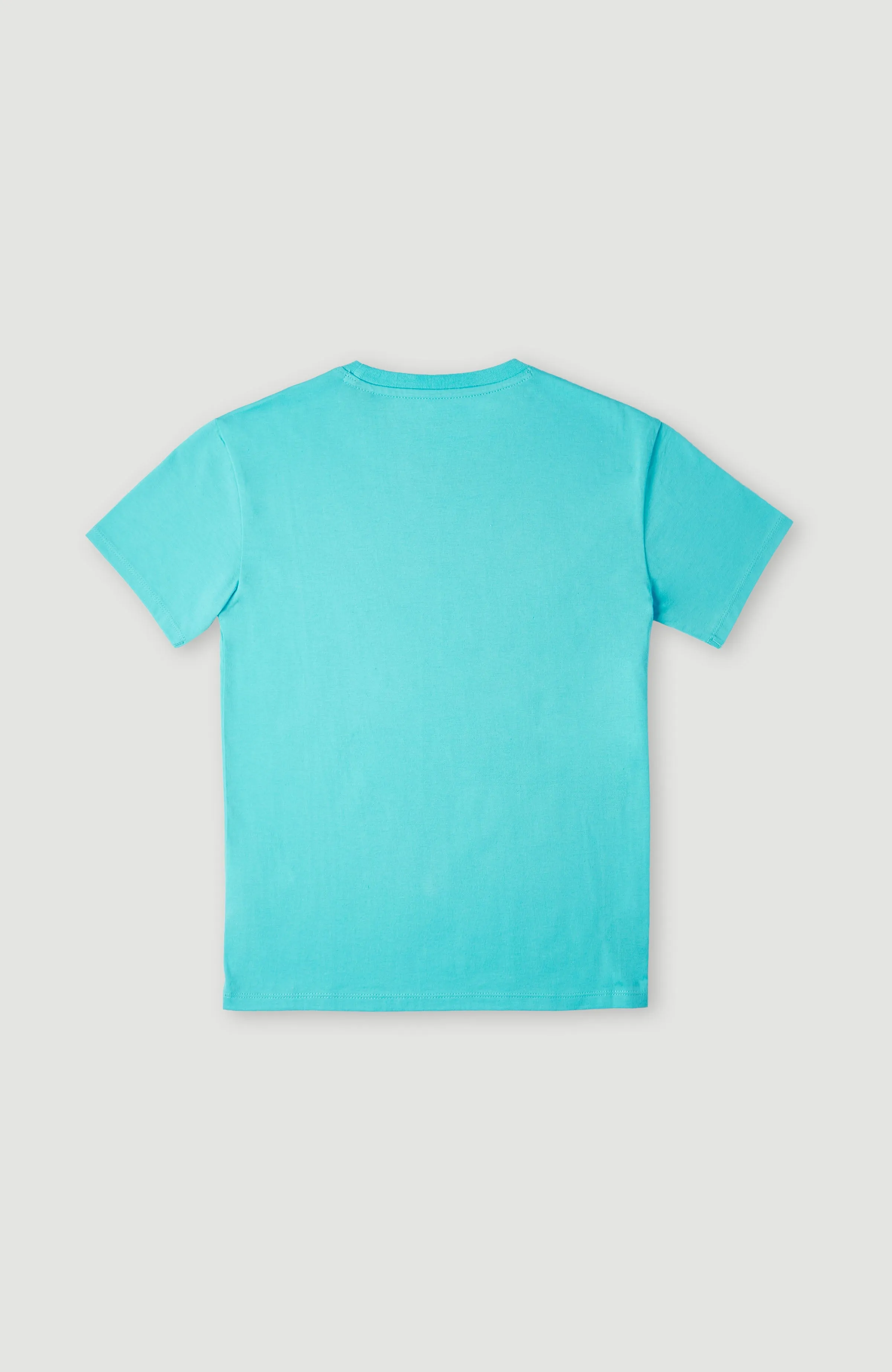 Neon T-Shirt | Bachelor Button