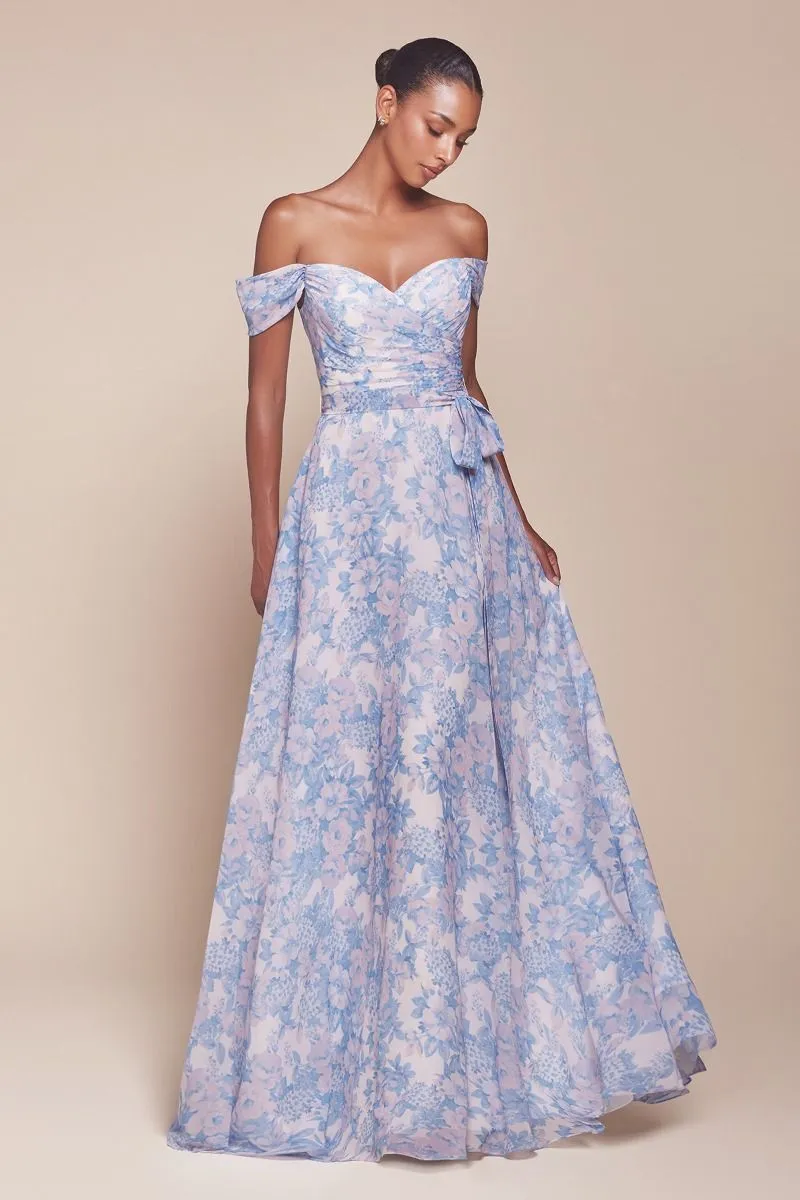 Off The Shoulder Floral Printed A-Line Dress (7441)