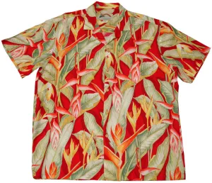 PARADISE FOUND HELICONIA