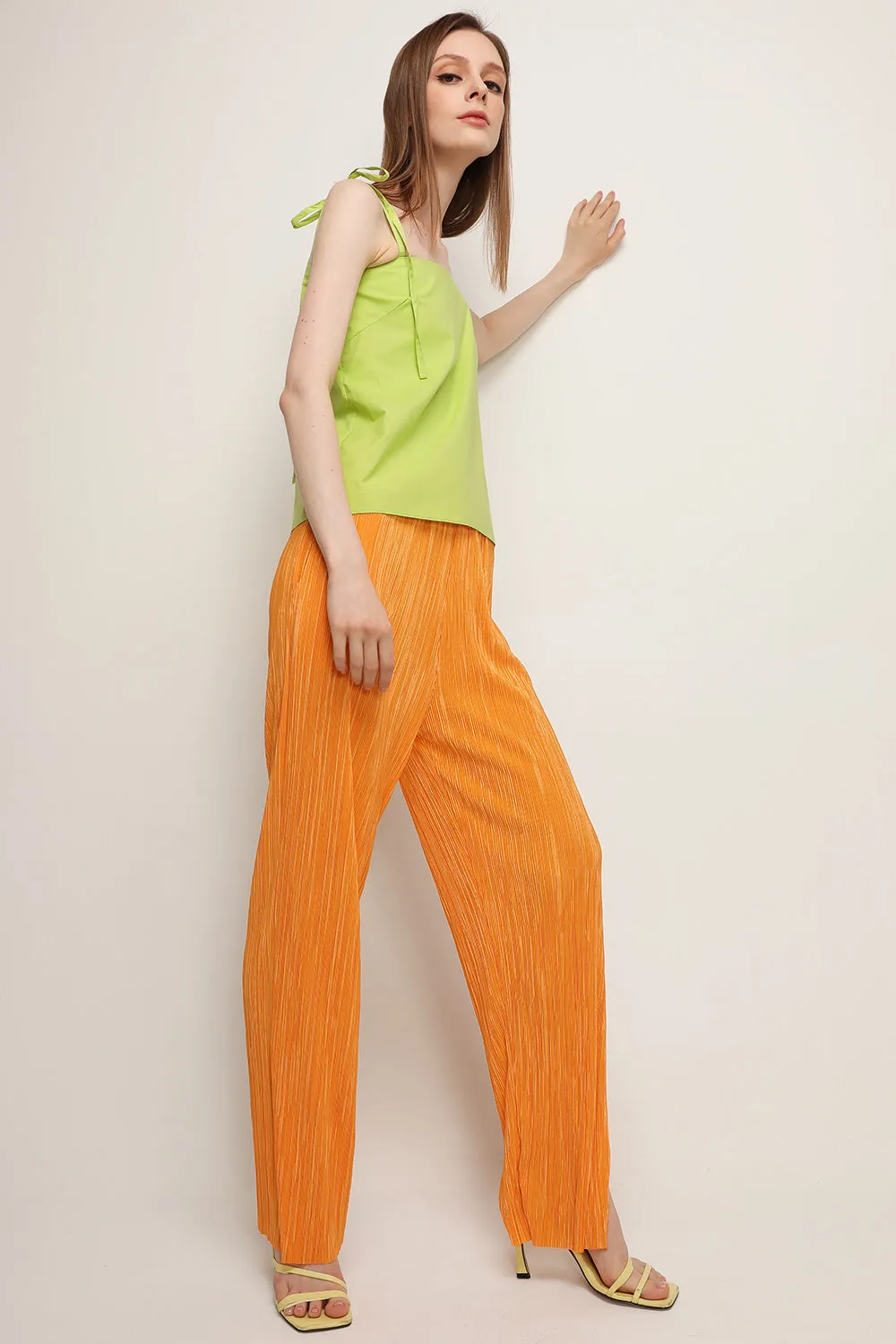 Peyton Crinkled Pleated Pants