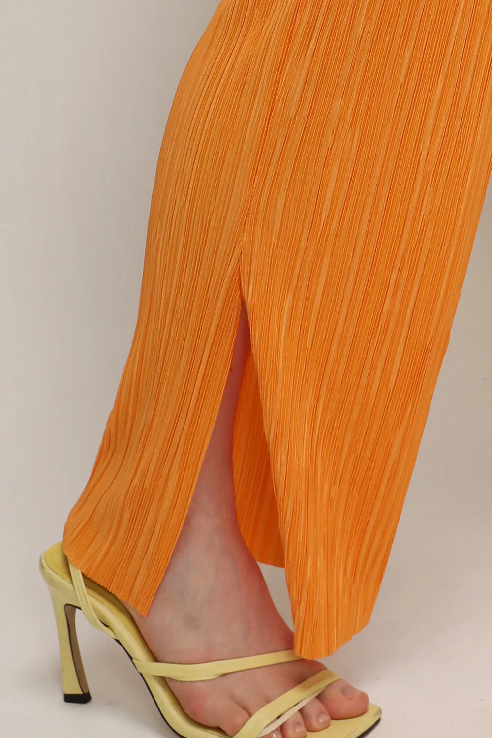 Peyton Crinkled Pleated Pants