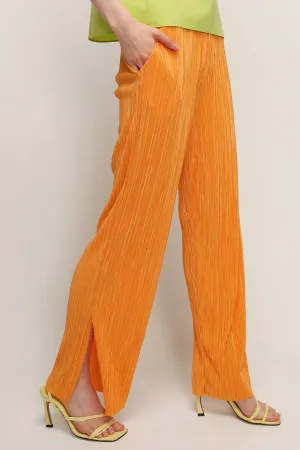 Peyton Crinkled Pleated Pants