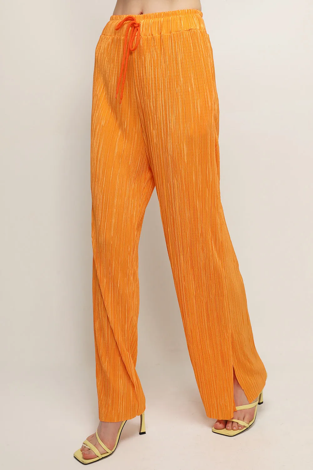 Peyton Crinkled Pleated Pants