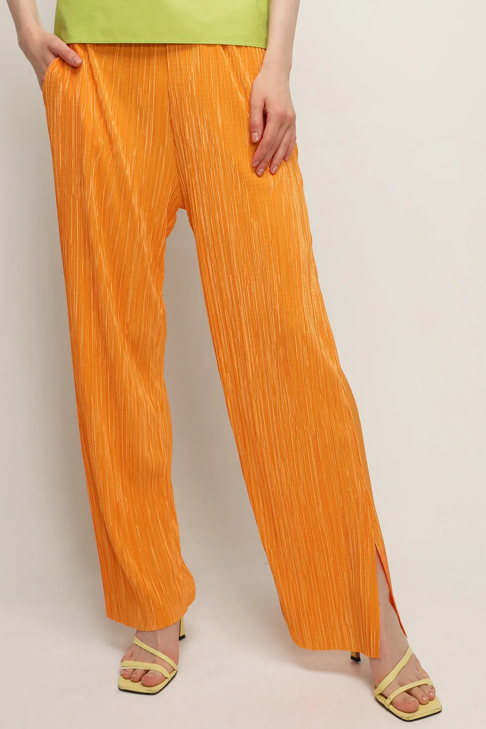 Peyton Crinkled Pleated Pants