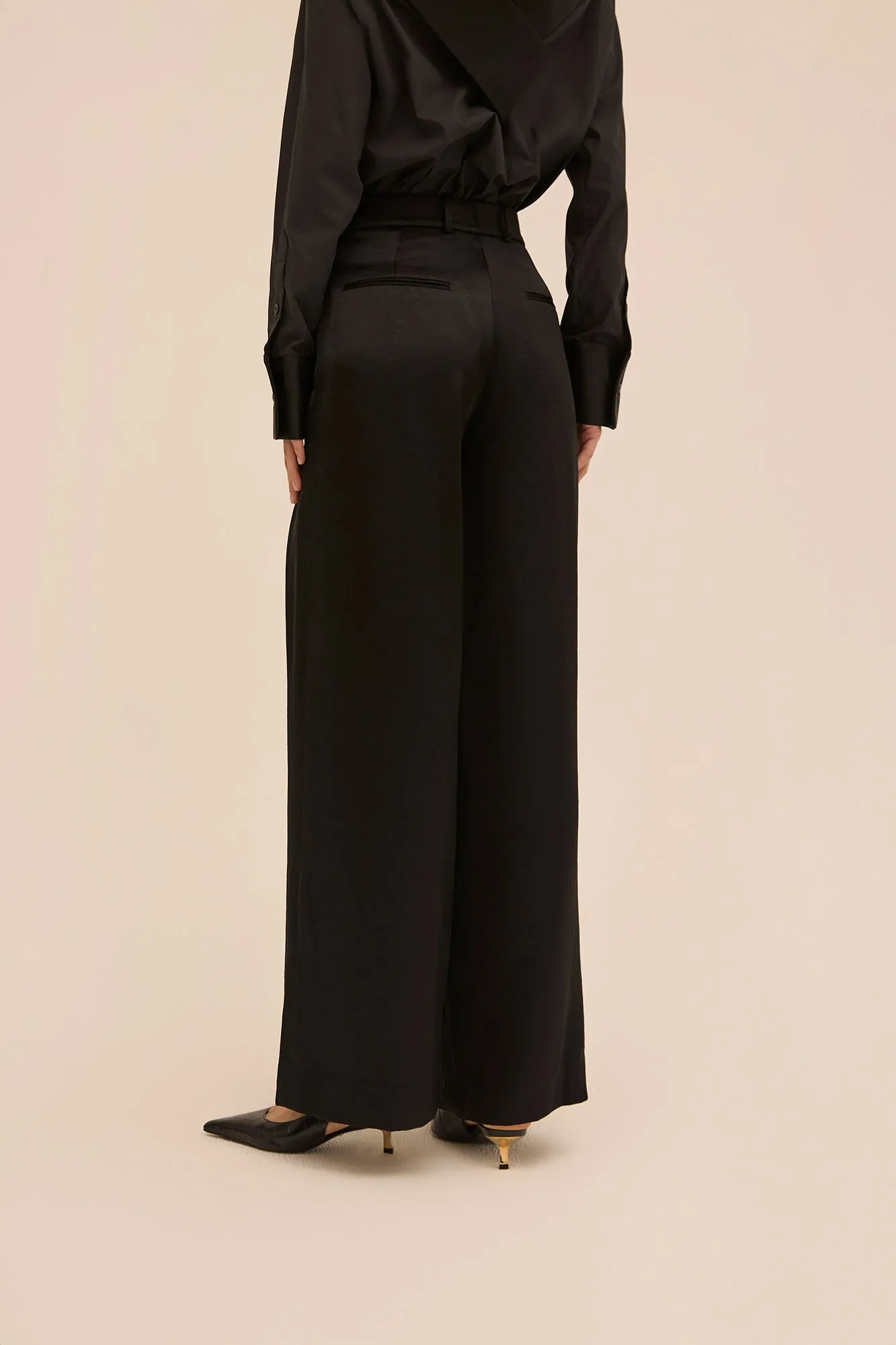 Pleated Wide Leg Trouser