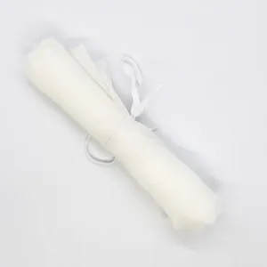 Remnant Satin Organza 12mms Silk White