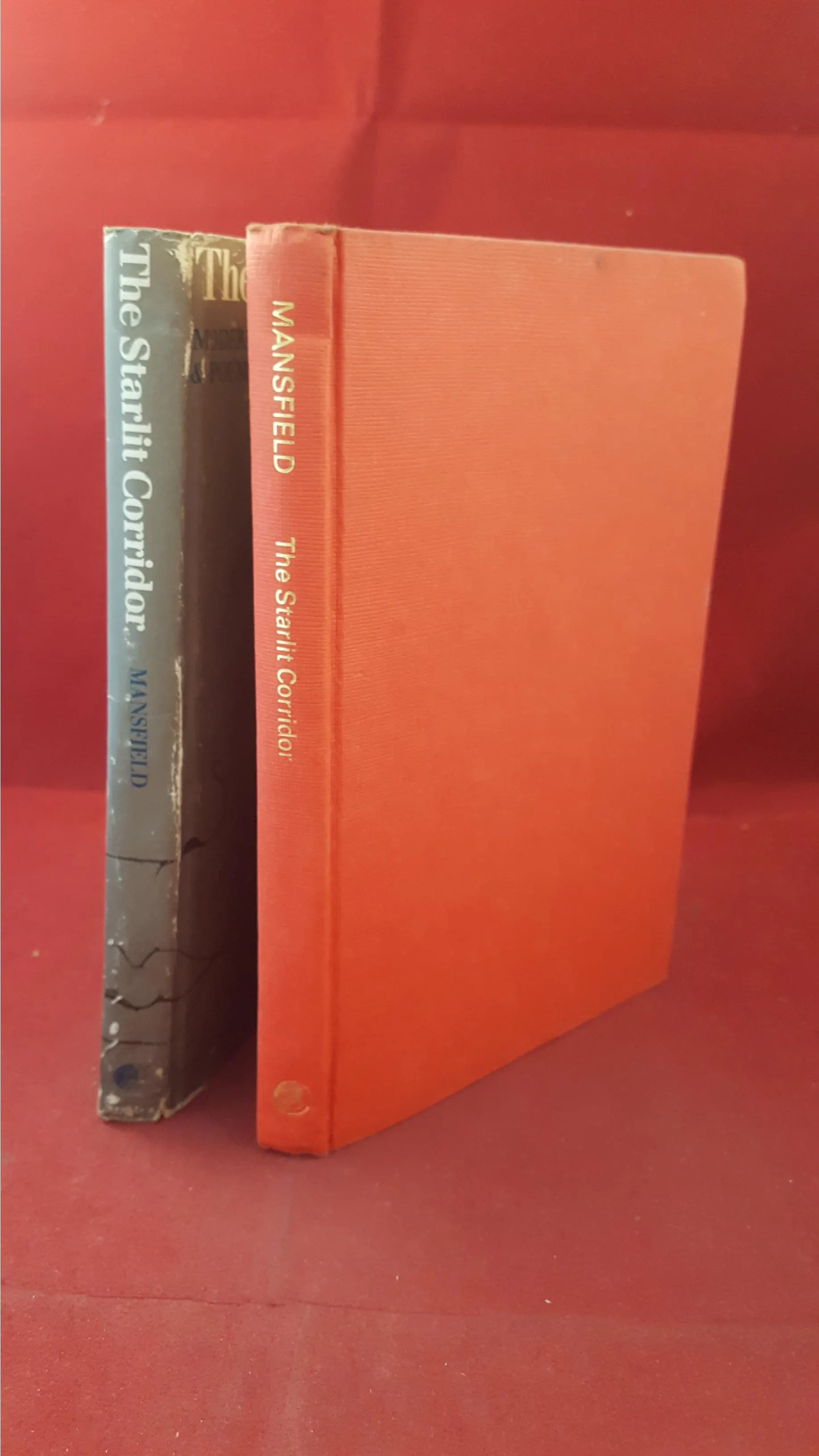 Roger Mansfield - The Starlit Corridor, Pergamon Press, 1967, First Edition