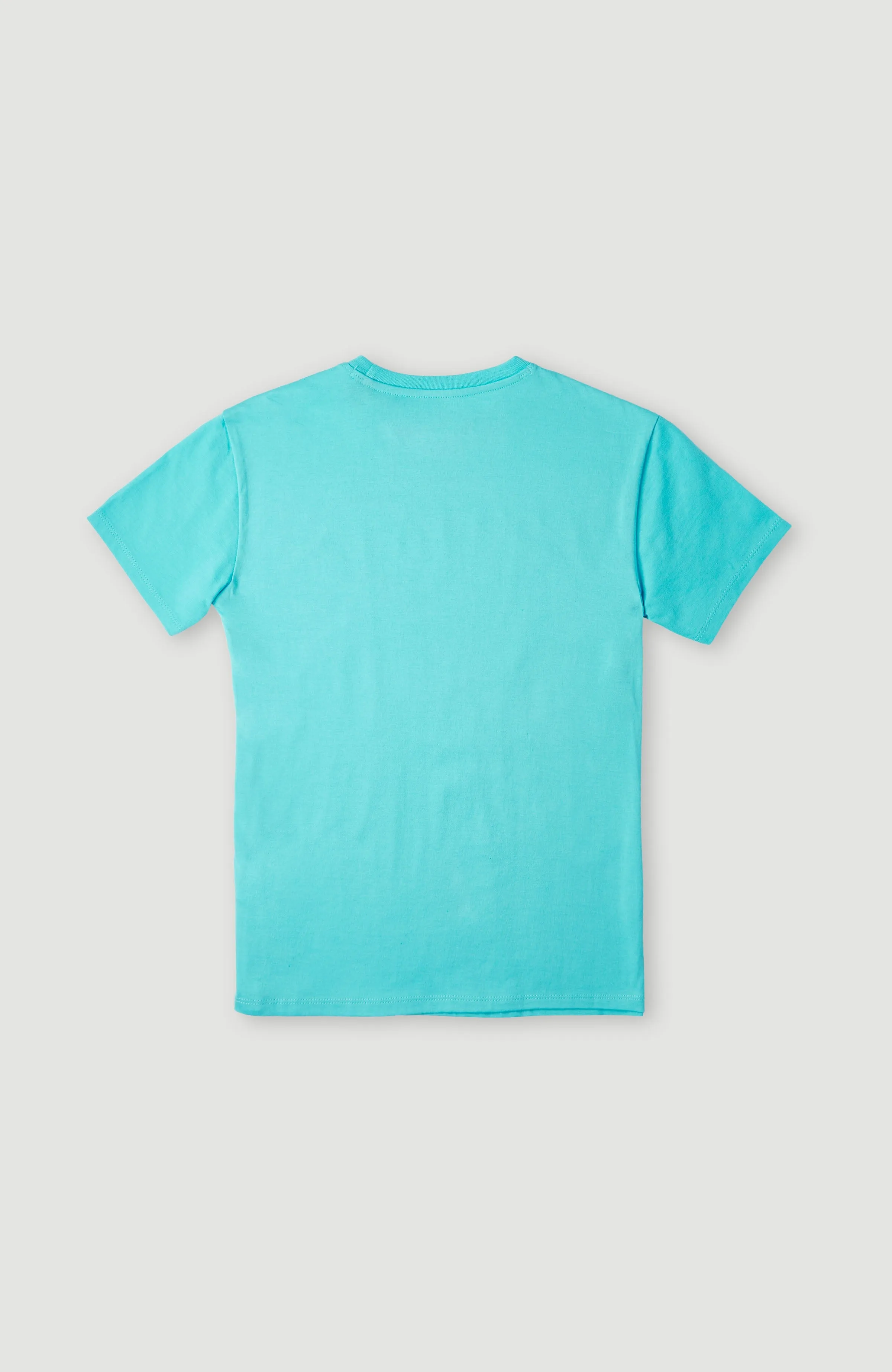 Sanborn T-Shirt | Bachelor Button
