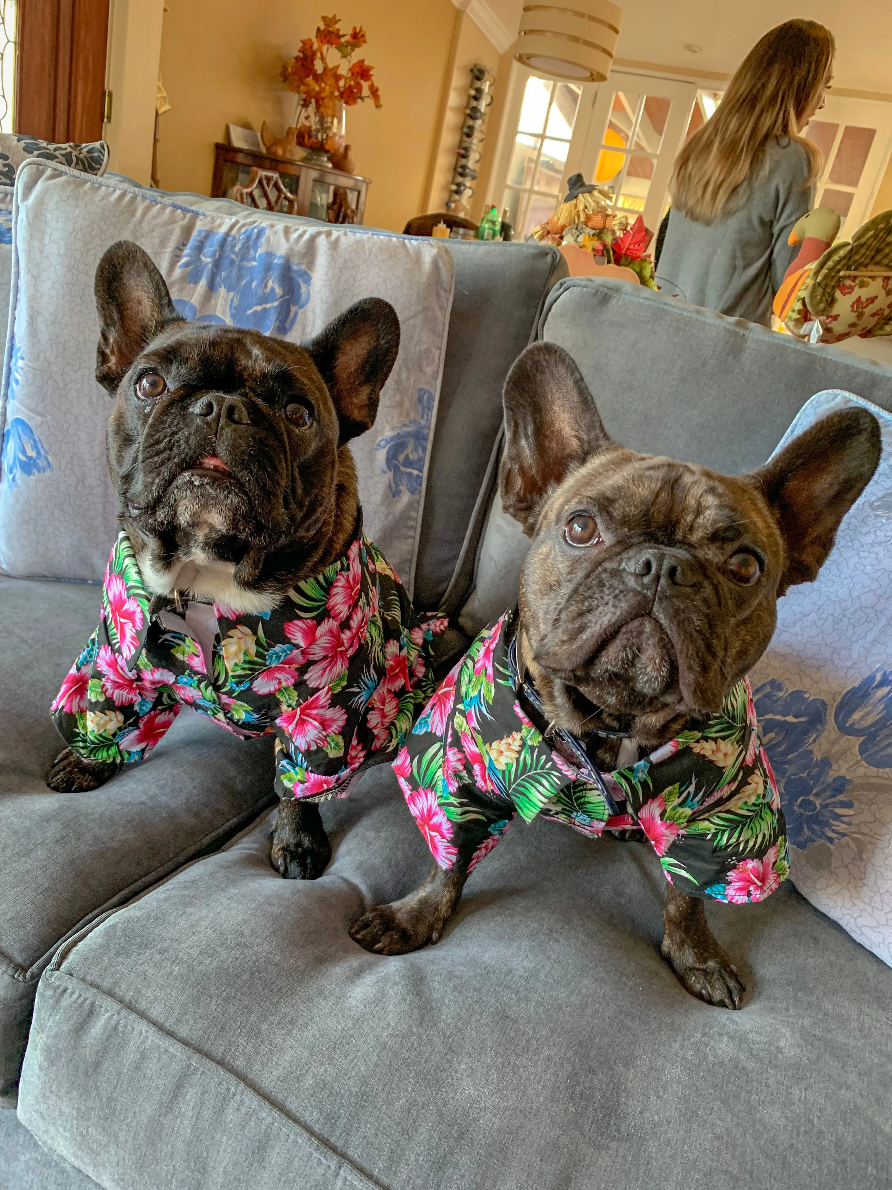 The Aloha Shirt — Floral Black